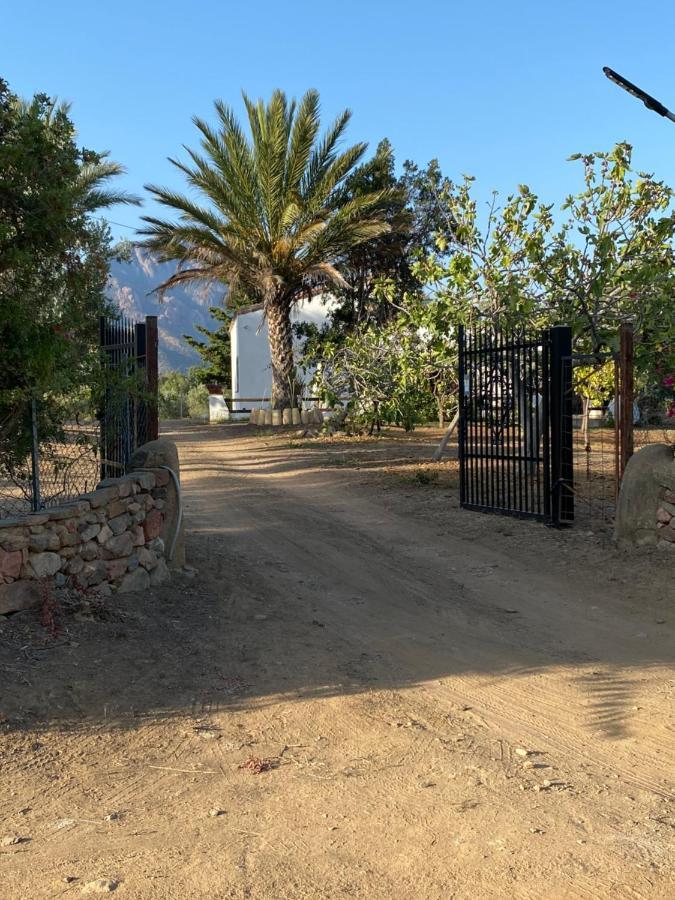 Villa Bianca Tertenìa Eksteriør bilde